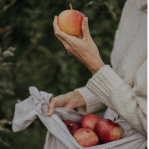 可以免费在线看黄的网站
